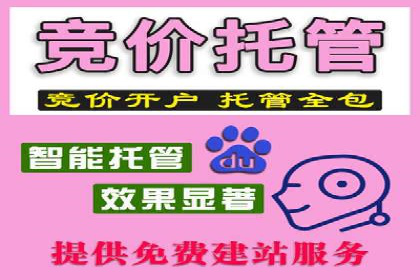 SEM运营公司成功案例集锦
